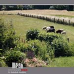 angebot_01_09