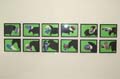 villa-niederrhein-vernissage-26